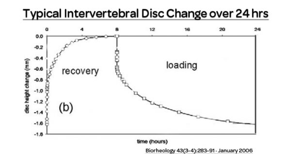 spine height, discs, intervertebral disc
